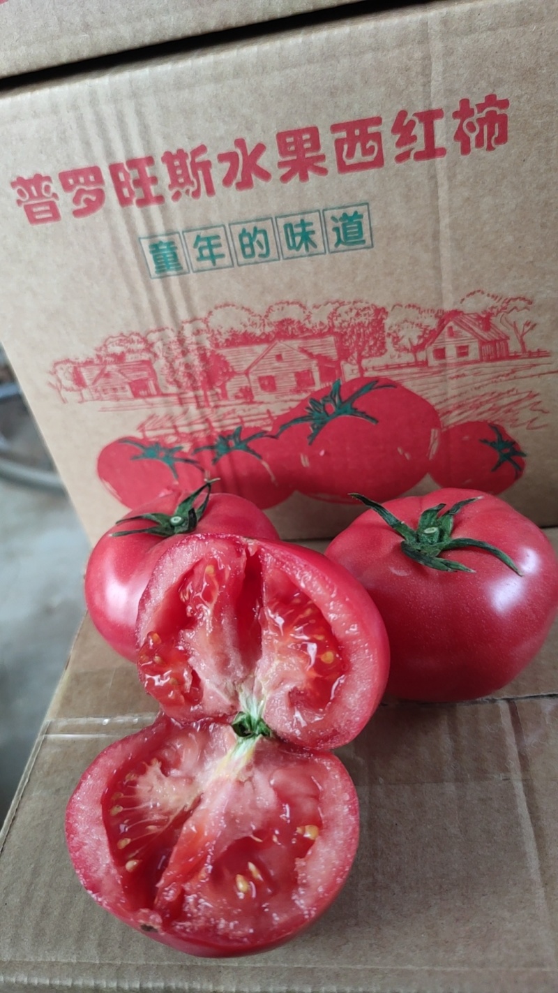 普罗旺斯水果西红柿