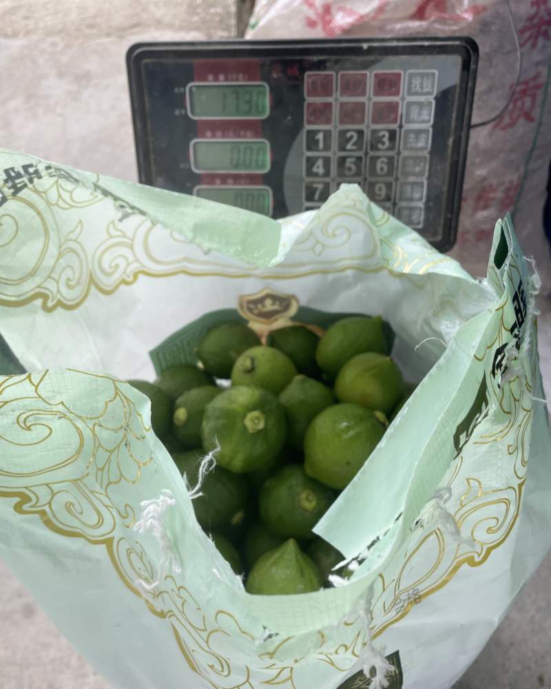 广东香水柠檬