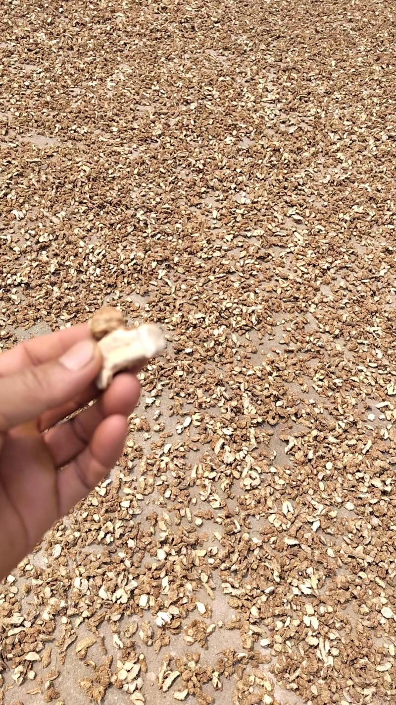 无硫沙姜干片