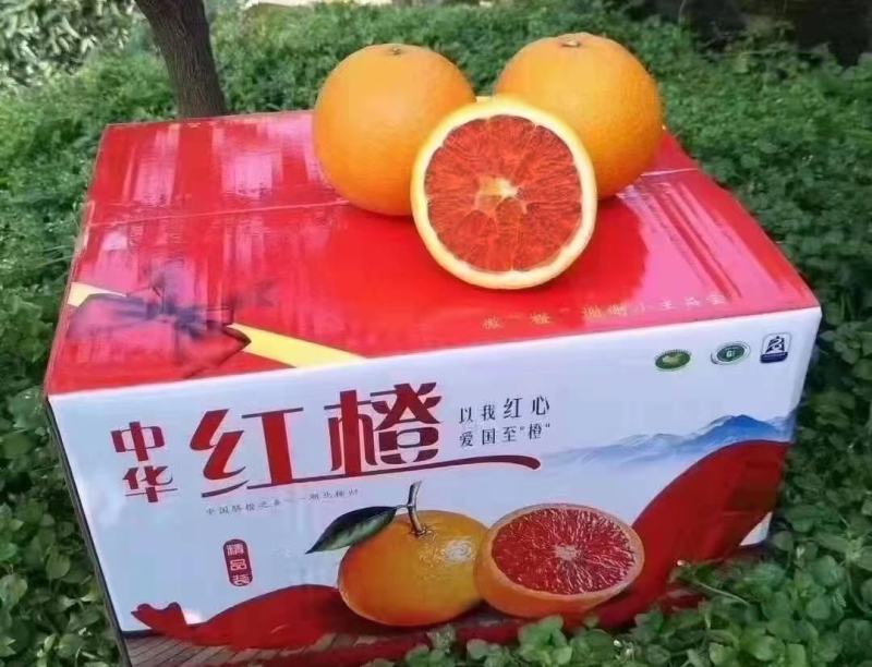 秭归脐橙