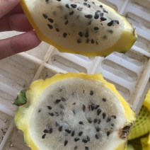 燕窝果