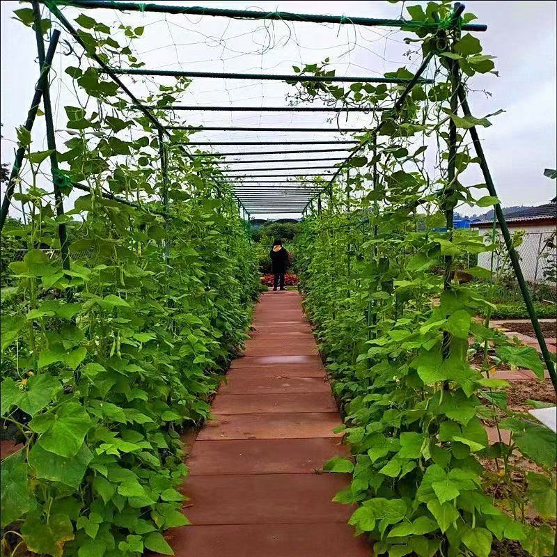 爬藤管，爬藤支架