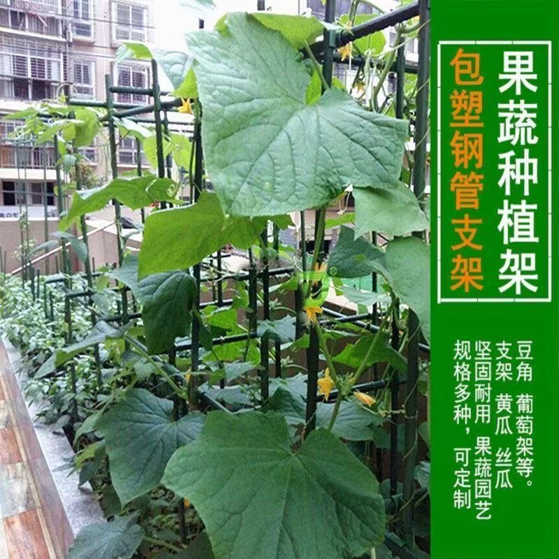 爬藤管，爬藤支架