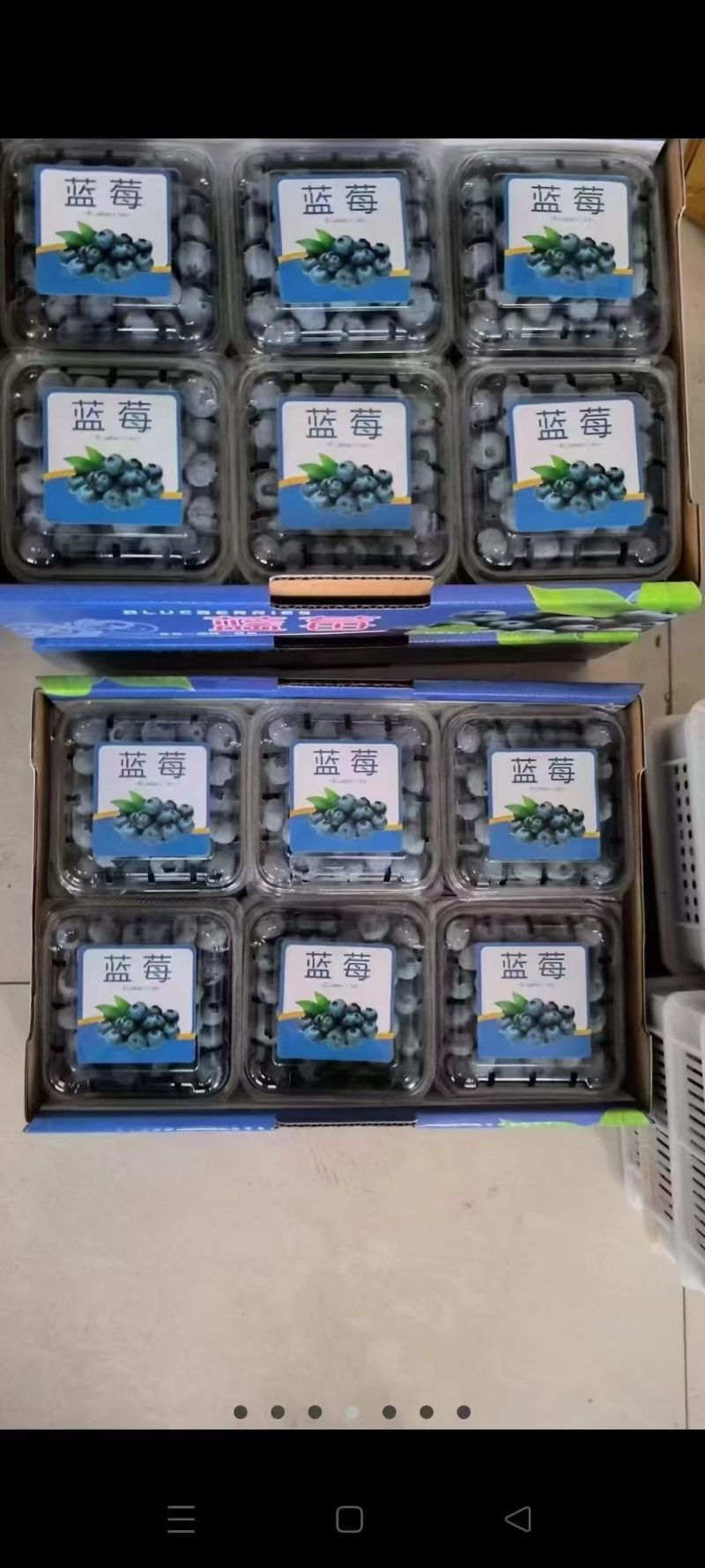 产地发货保证新鲜代打代收