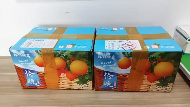 秭归血橙伦晚