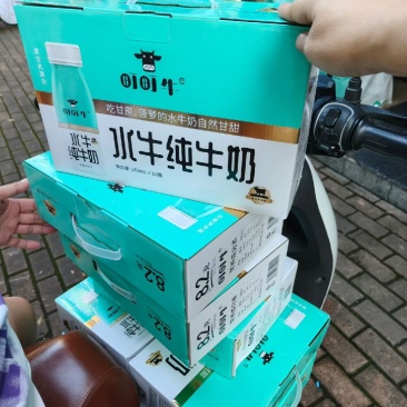 町町牛水牛纯牛奶