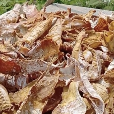 妈妈纯手工自家笋干