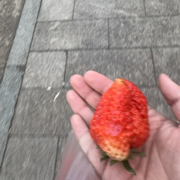 山东红富士苹果，草莓