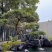 全国名石上门安装，物流发货，各种石材咨询