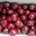 汶川车厘子
