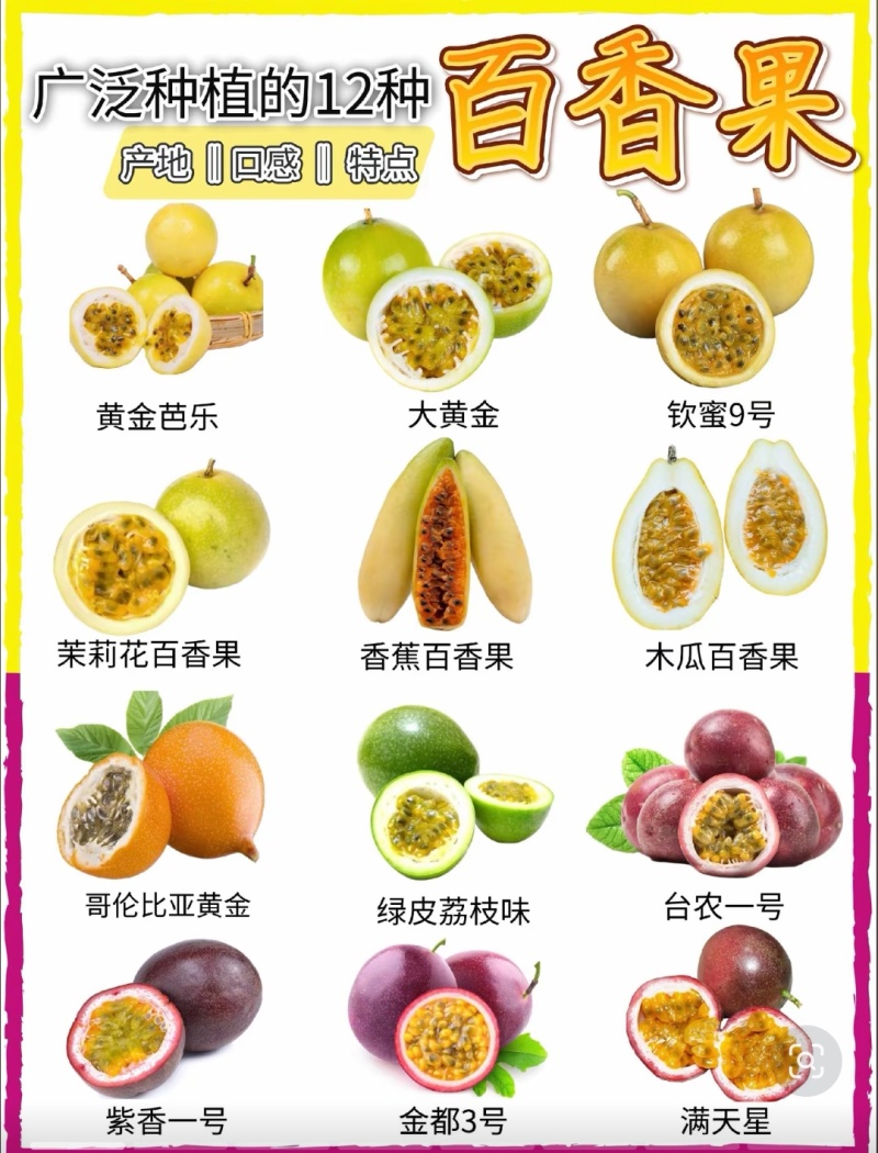 高品质百香果