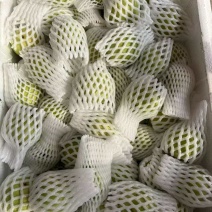 红宝石芭乐