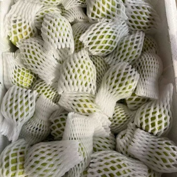 红宝石芭乐