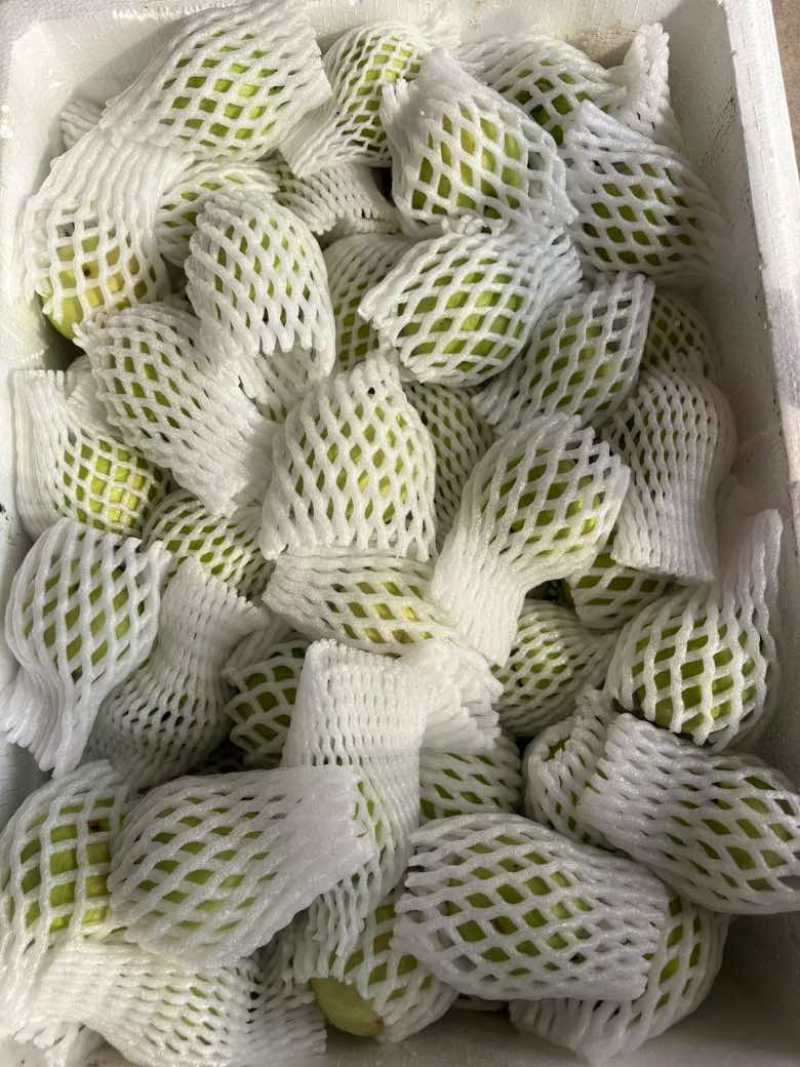 红宝石芭乐