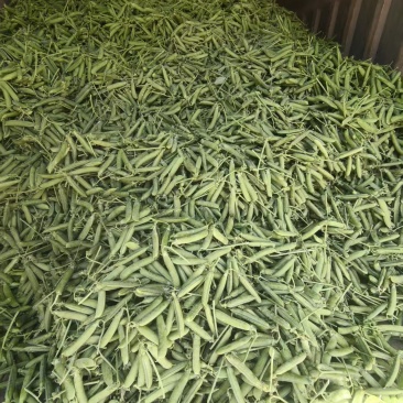 豌豆