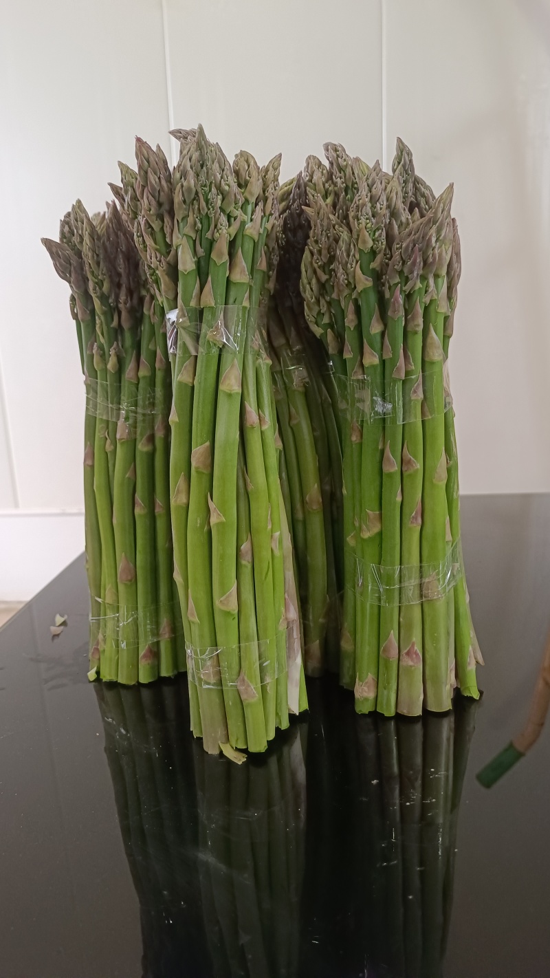 绿芦笋，及优质杂交一代芦笋苗。
