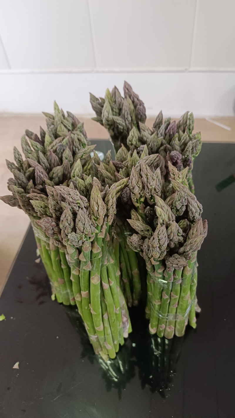 绿芦笋，及优质杂交一代芦笋苗。