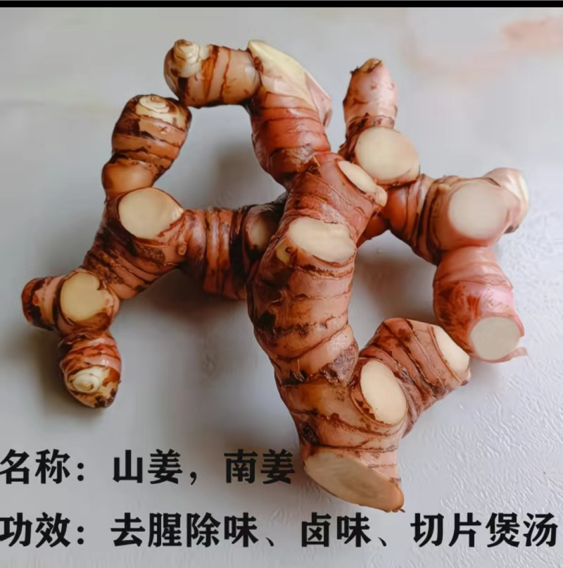 南姜、山姜头（4年老姜）