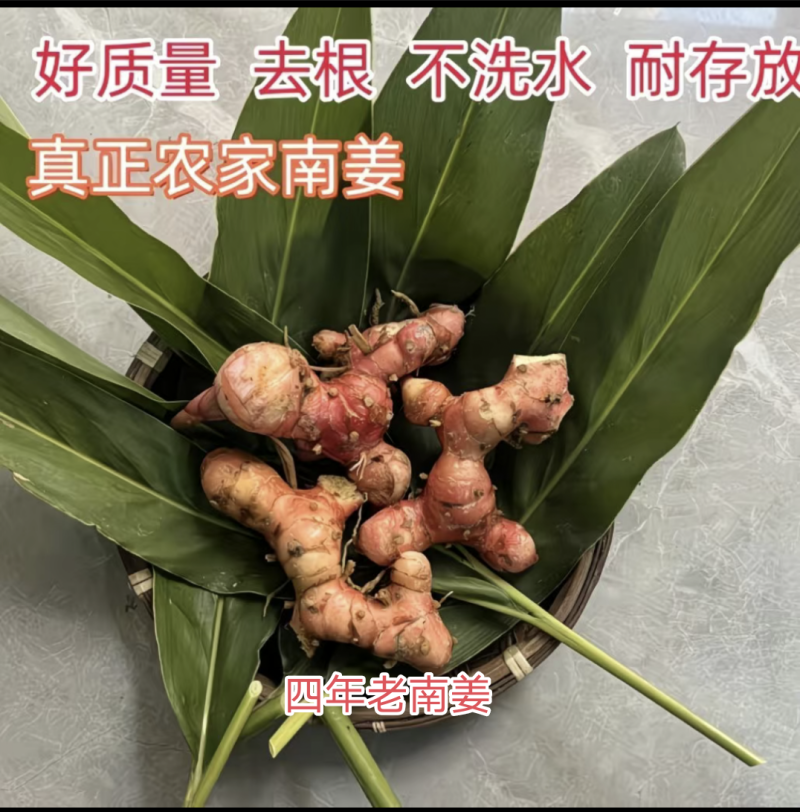 南姜、山姜头（4年老姜）