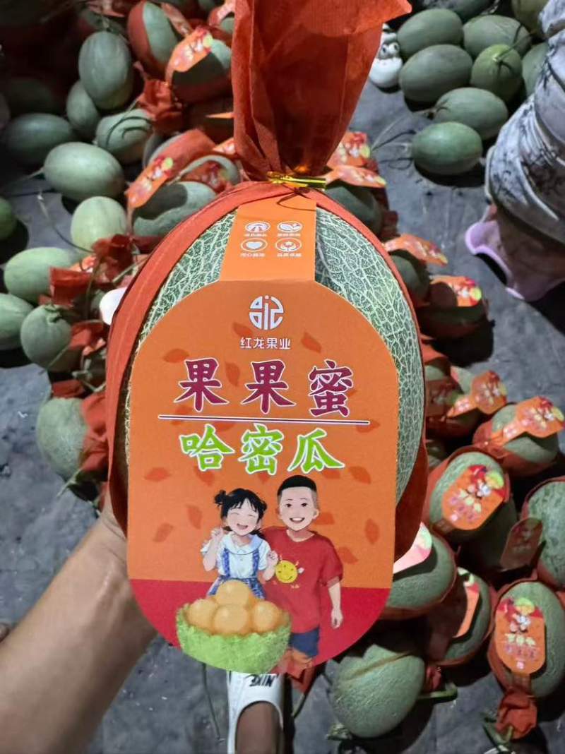 海南晓蜜25号脆甜爽口红到皮42/44