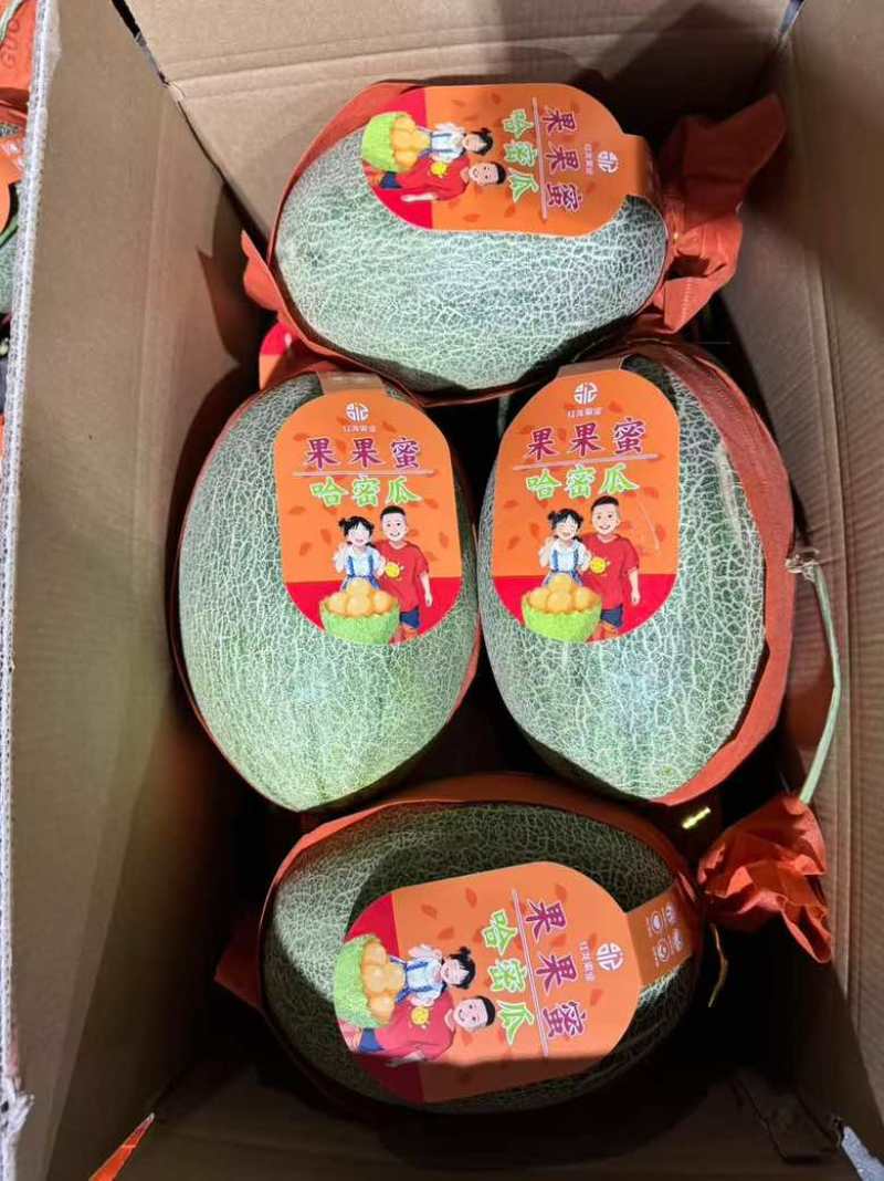 海南晓蜜25号脆甜爽口红到皮42/44