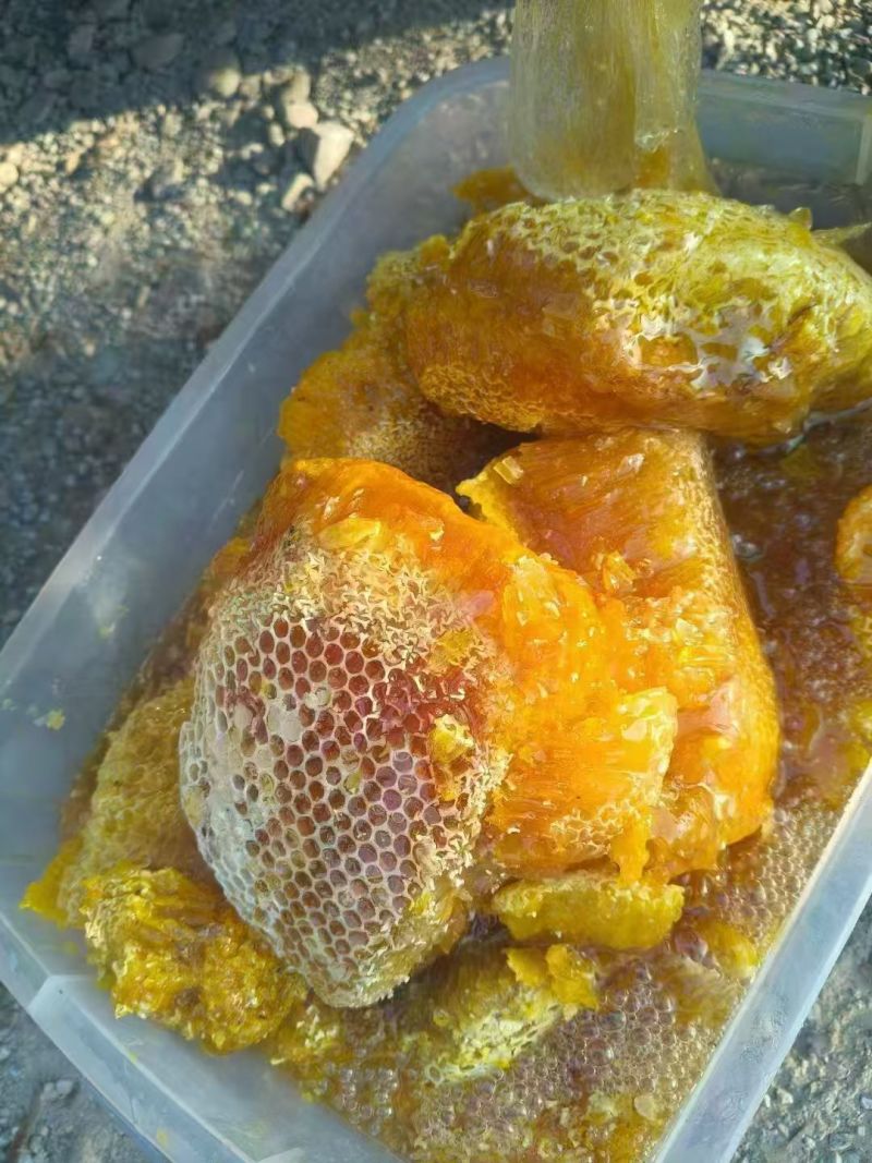 野生蜂蜜土蜂蜜