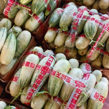 各种品种甜瓜大量上市
