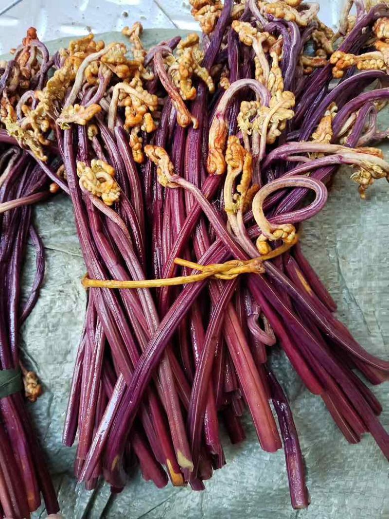 贵州野生蕨菜精品腌制蕨菜长度25公分