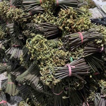 贵州野生蕨菜精品腌制蕨菜长度25公分