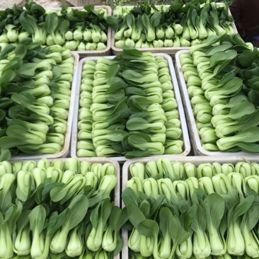 精品量大