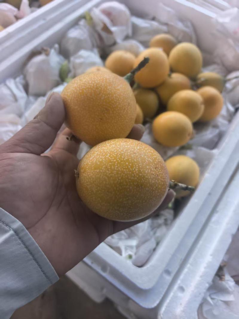 热情果