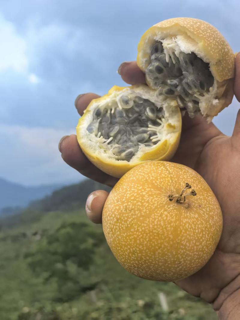 热情果