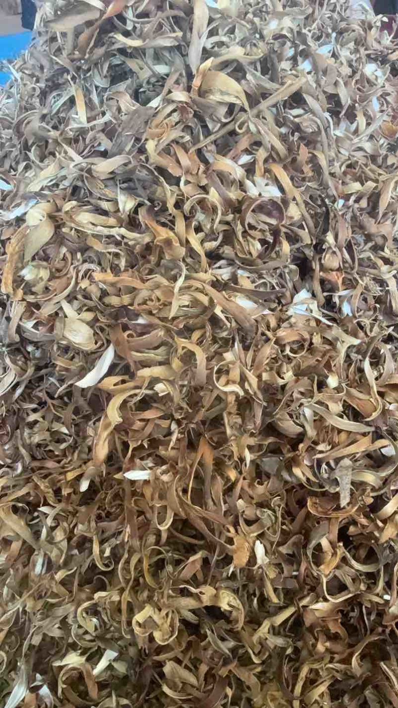 洋蓟茶大量上