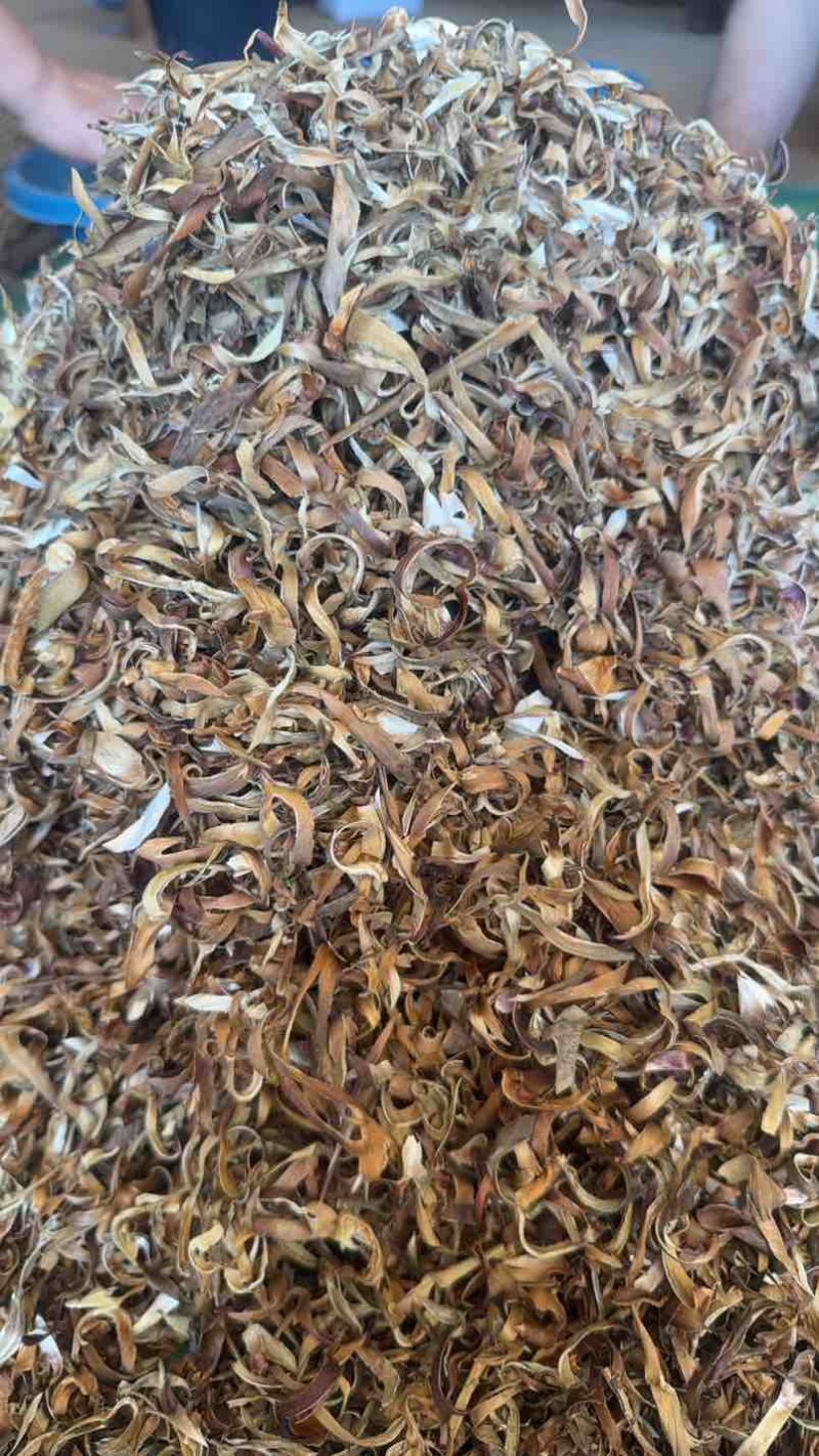 洋蓟茶大量上