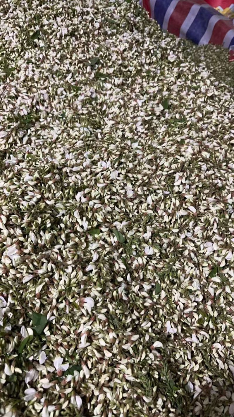 洋槐花大量有货