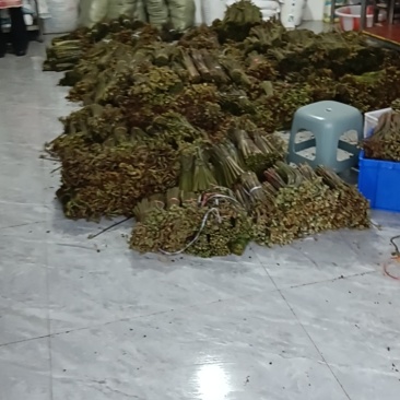 盐巴蕨菜