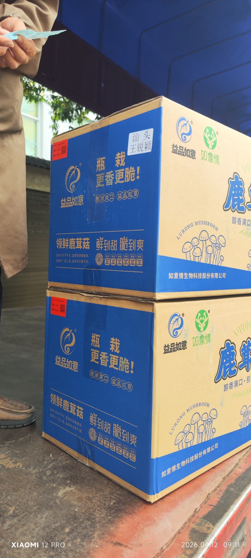 鹿茸菇益品如意脆脆菇如意情酒店火锅店家用批发礼盒低价干货菌菇