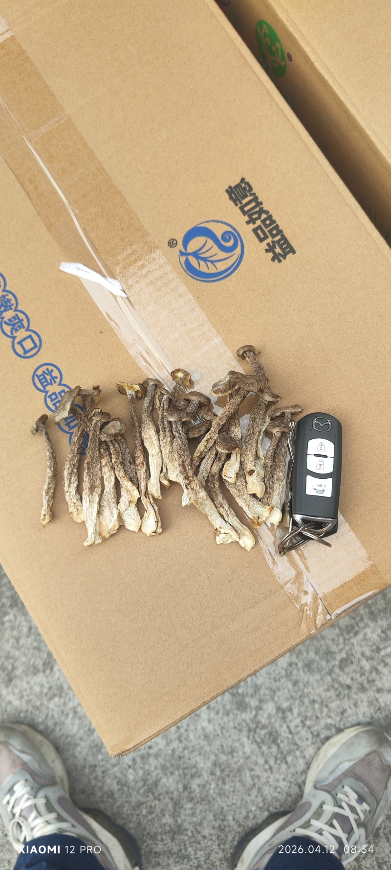 鹿茸菇益品如意脆脆菇如意情酒店火锅店家用批发礼盒低价干货菌菇