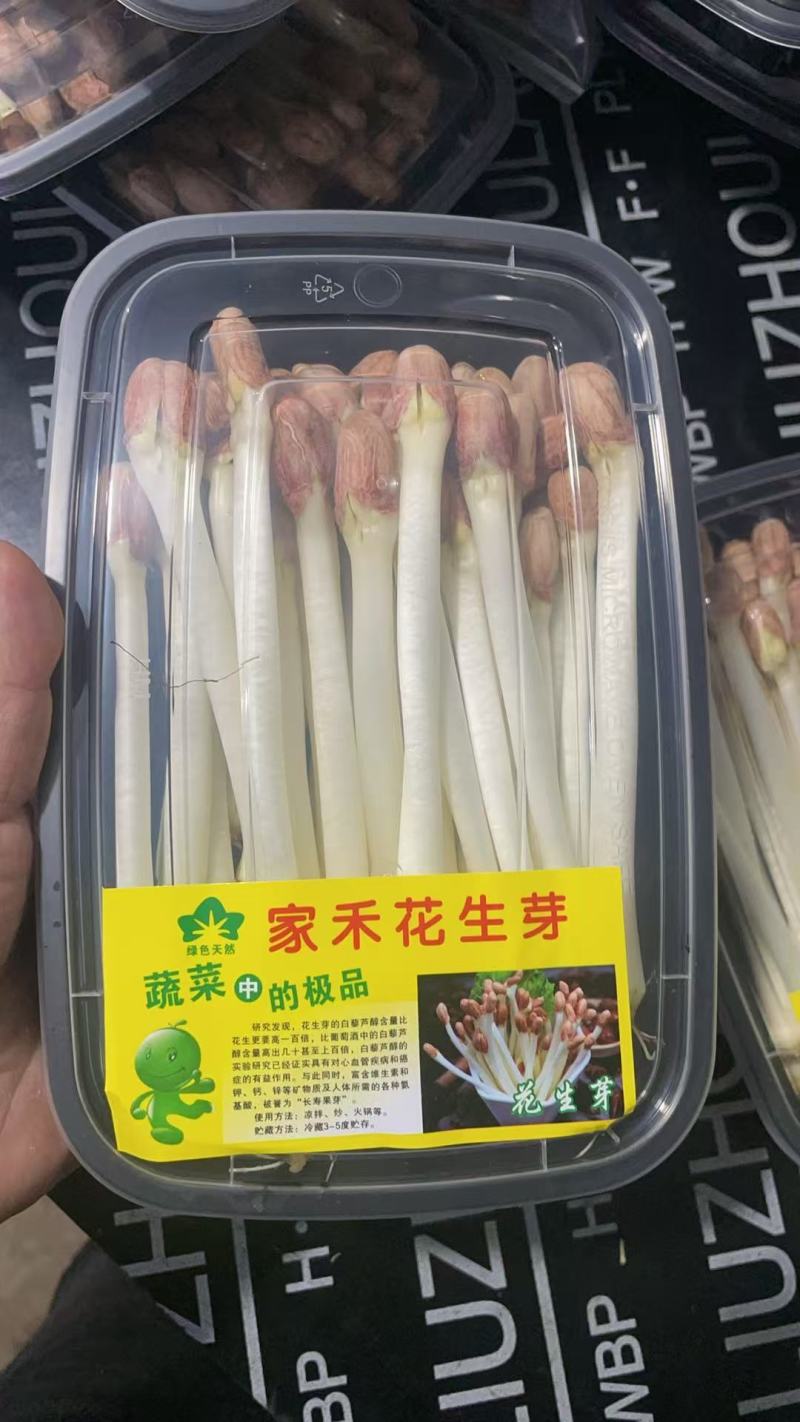 新鲜花生芽通货地：基地直供供货量：常年稳定供货，量