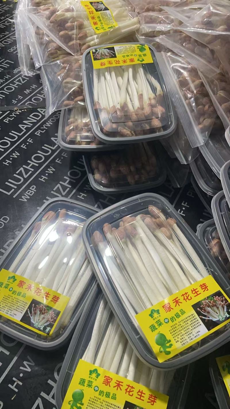 新鲜花生芽通货地：基地直供供货量：常年稳定供货，量