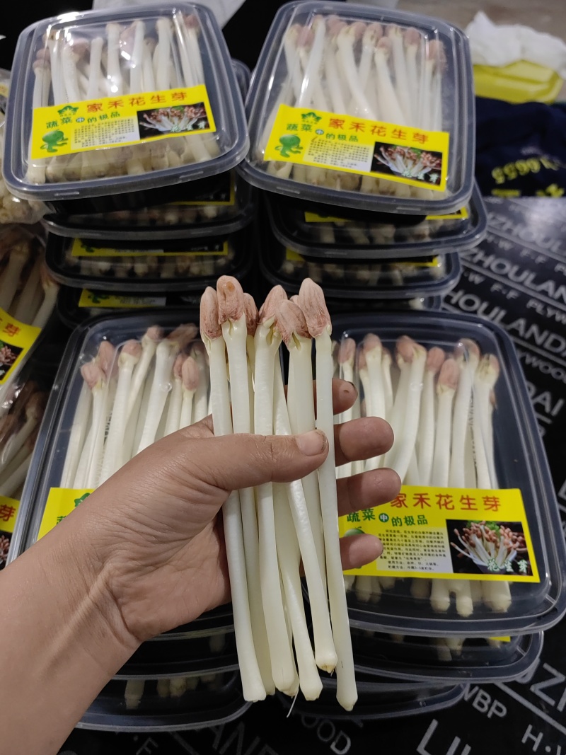新鲜花生芽通货地：基地直供供货量：常年稳定供货，量