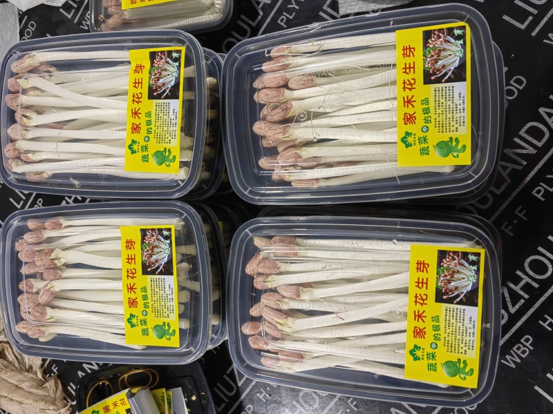 新鲜花生芽通货地：基地直供供货量：常年稳定供货，量