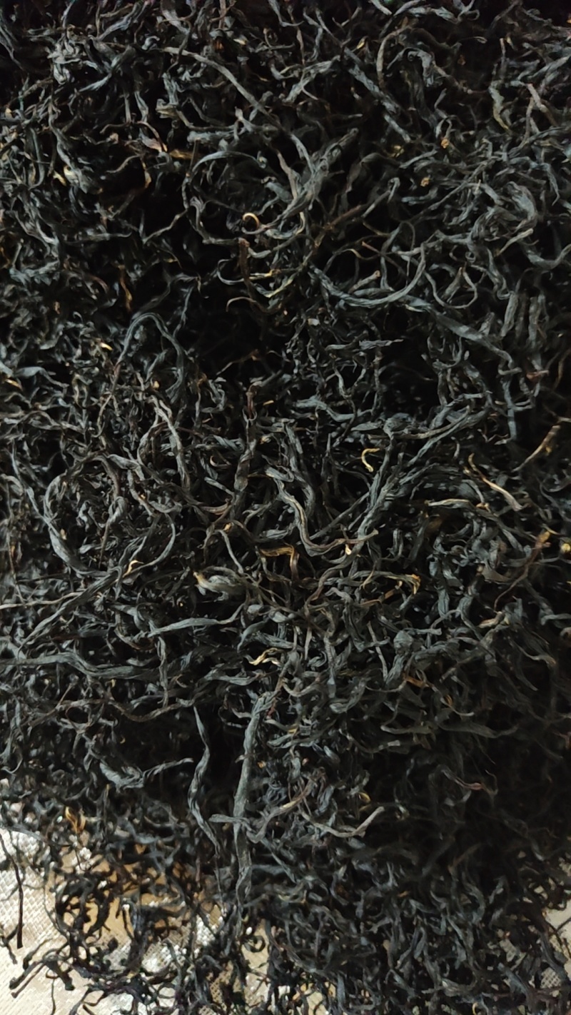 古树大叶红茶