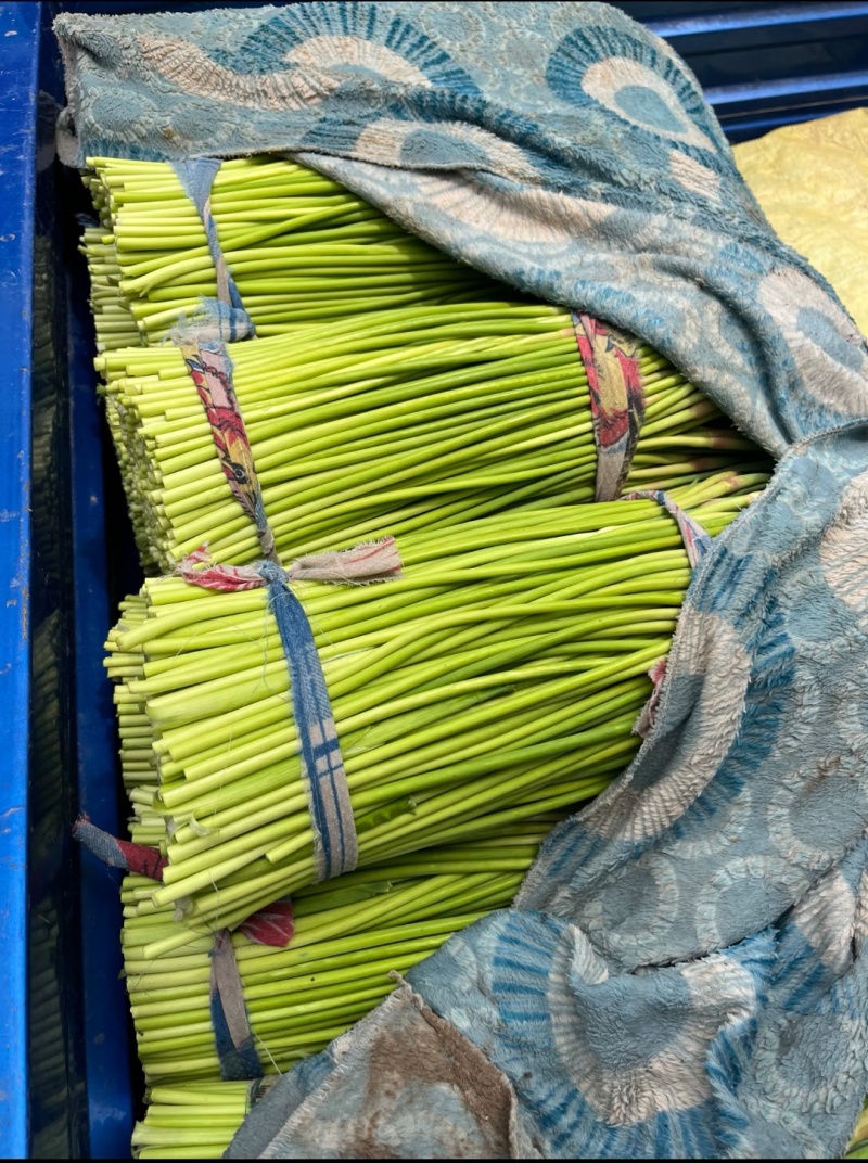蒜薹
