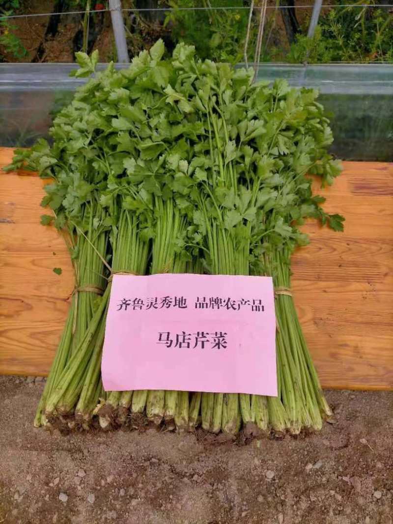 芹菜、笨芹
