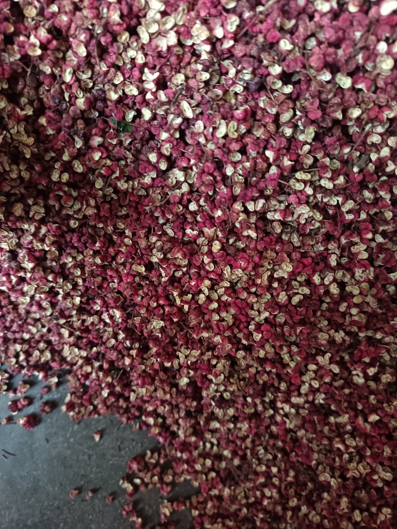 甘肃陇南武都红花椒