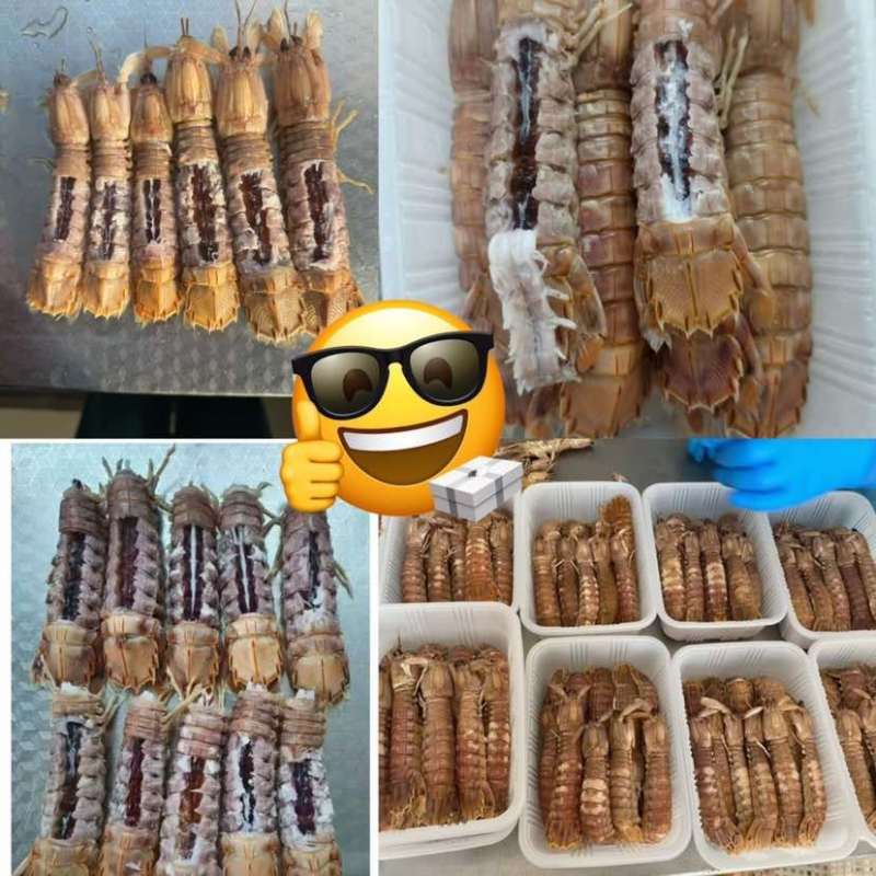 熟冻带膏高品质皮皮虾餐饮**