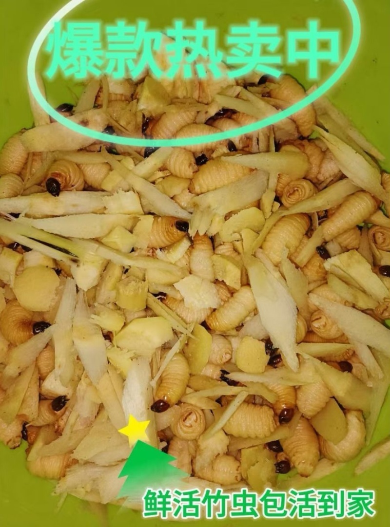 竹笋虫