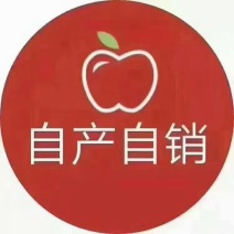 山西省芮城苹果
