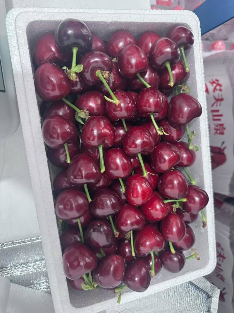美早樱桃大果